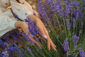 milk lavender nail