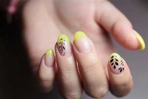 Butter Yellow French