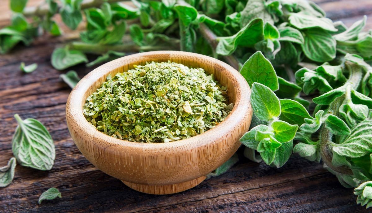 Oregano na metabolizm