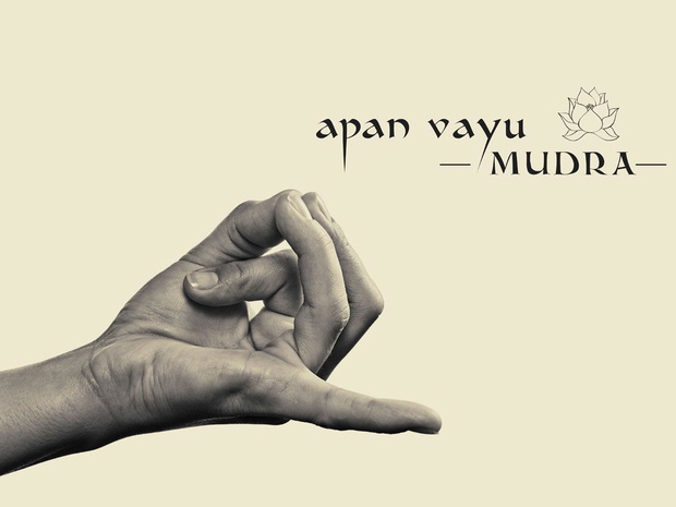 mudry-lecznicze-2497228-8a4a76b