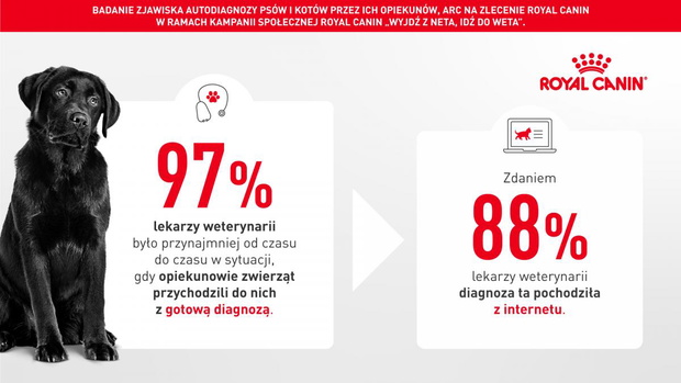 psrbadanie-zjawiska-autodiagnozyrcdiagnoza1920x1080-png-2525560-ca25f53