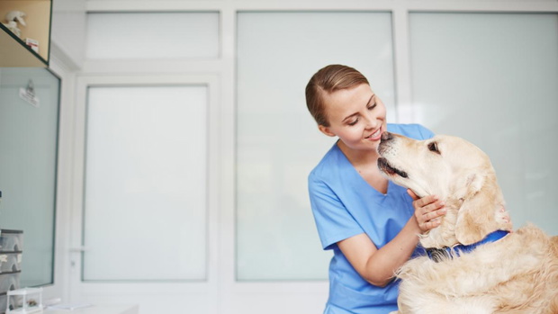 royal-canin-2525069-2bfaee7