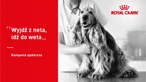 royal-canin-2525066-6becc38