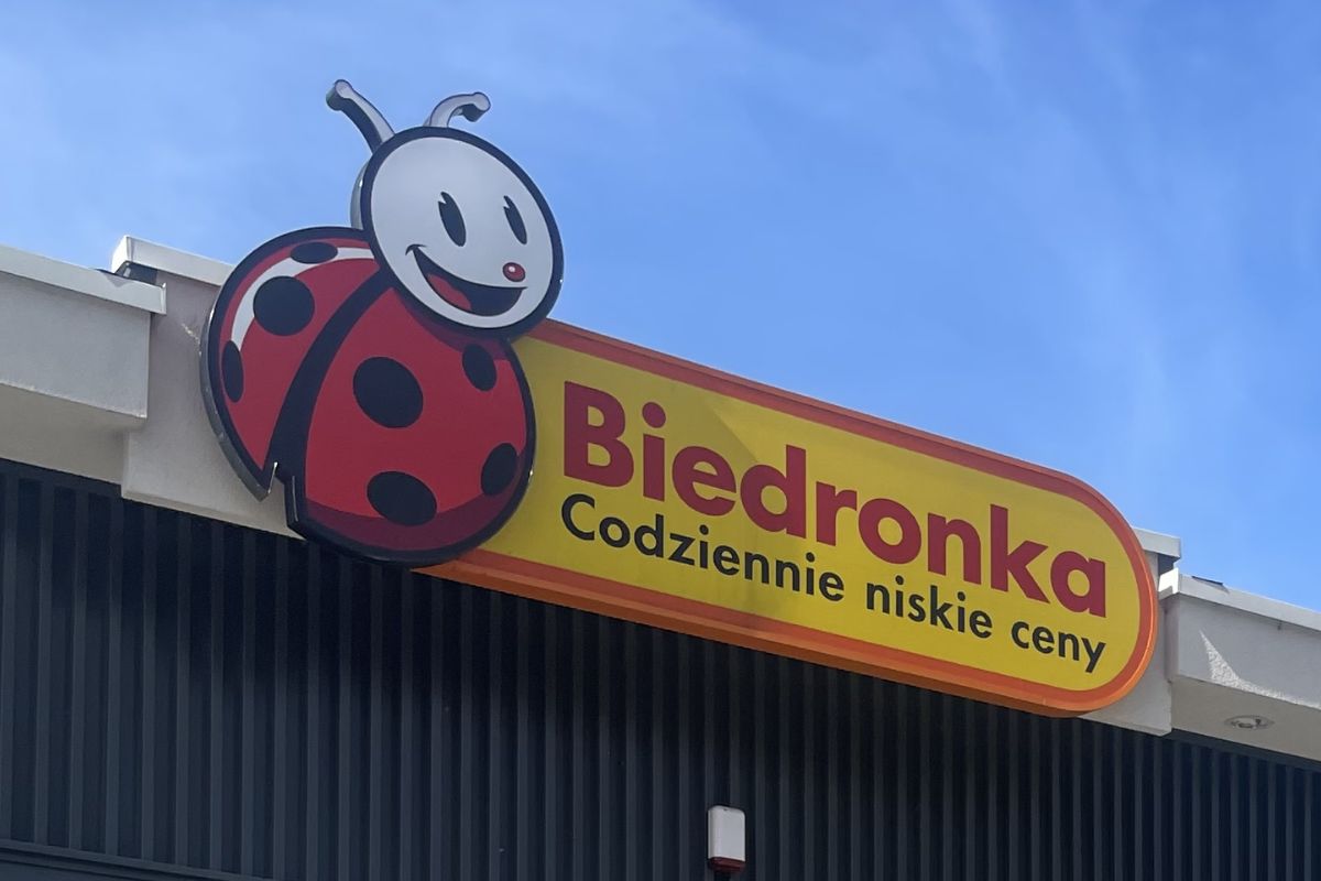 Skórzana torebka Biedronka