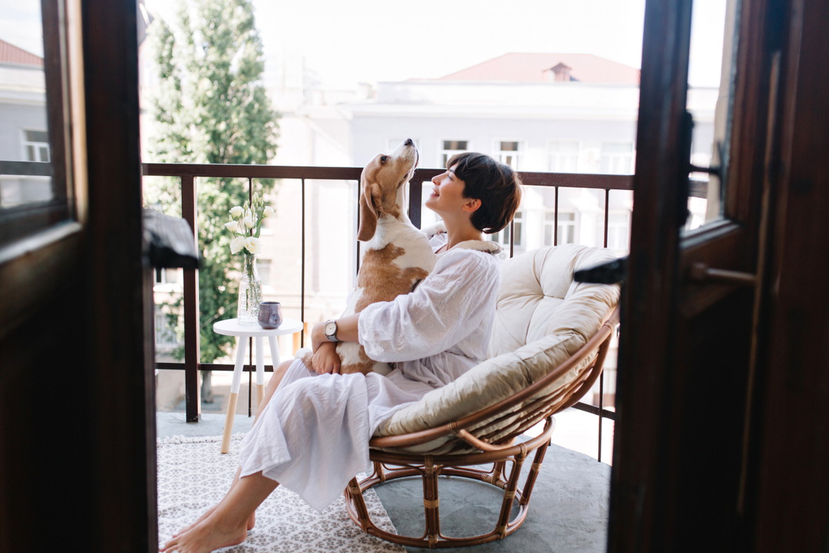 Relaxed young woman in white cozy bathrobe sitting with beagle dog on balcony in summer morning. Pretty brunette girl in wristwatch holding puppy on knees and smiling..
