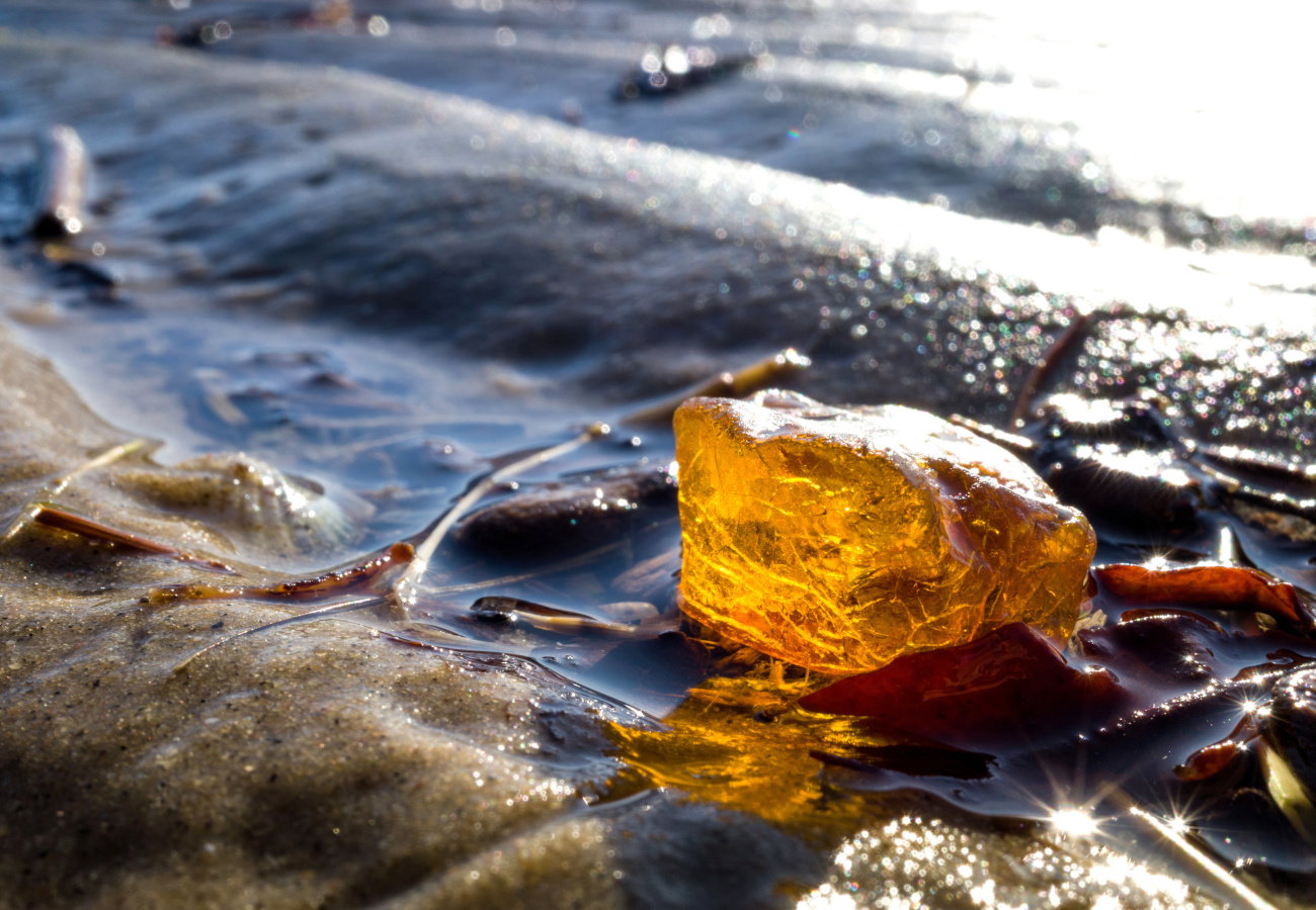 amber in the Wadden Sea in Cuxhaven, Germany
