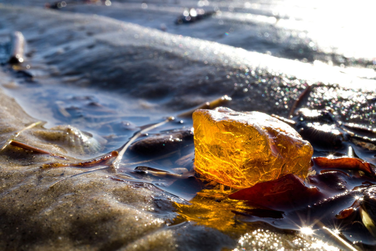 amber in the Wadden Sea in Cuxhaven, Germany