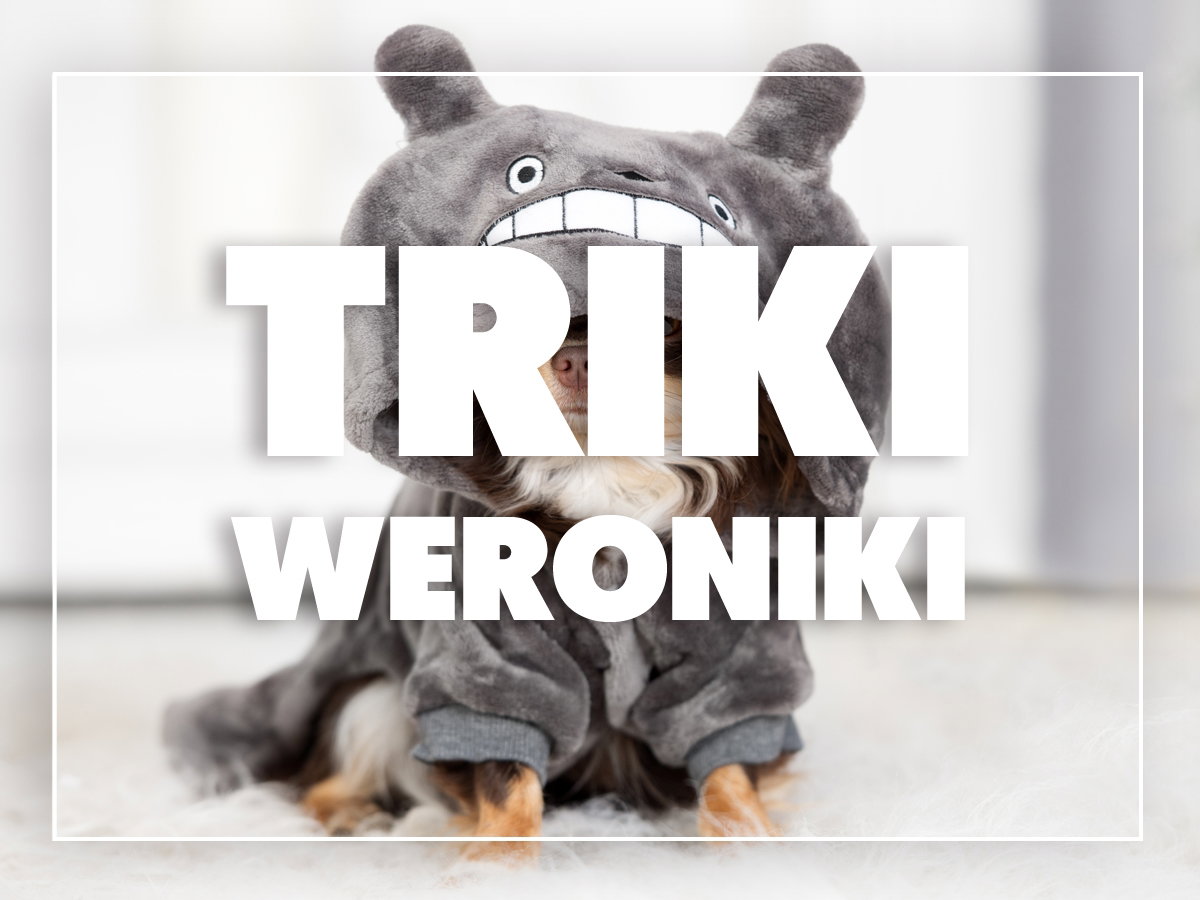 zwierzak w szlafroku