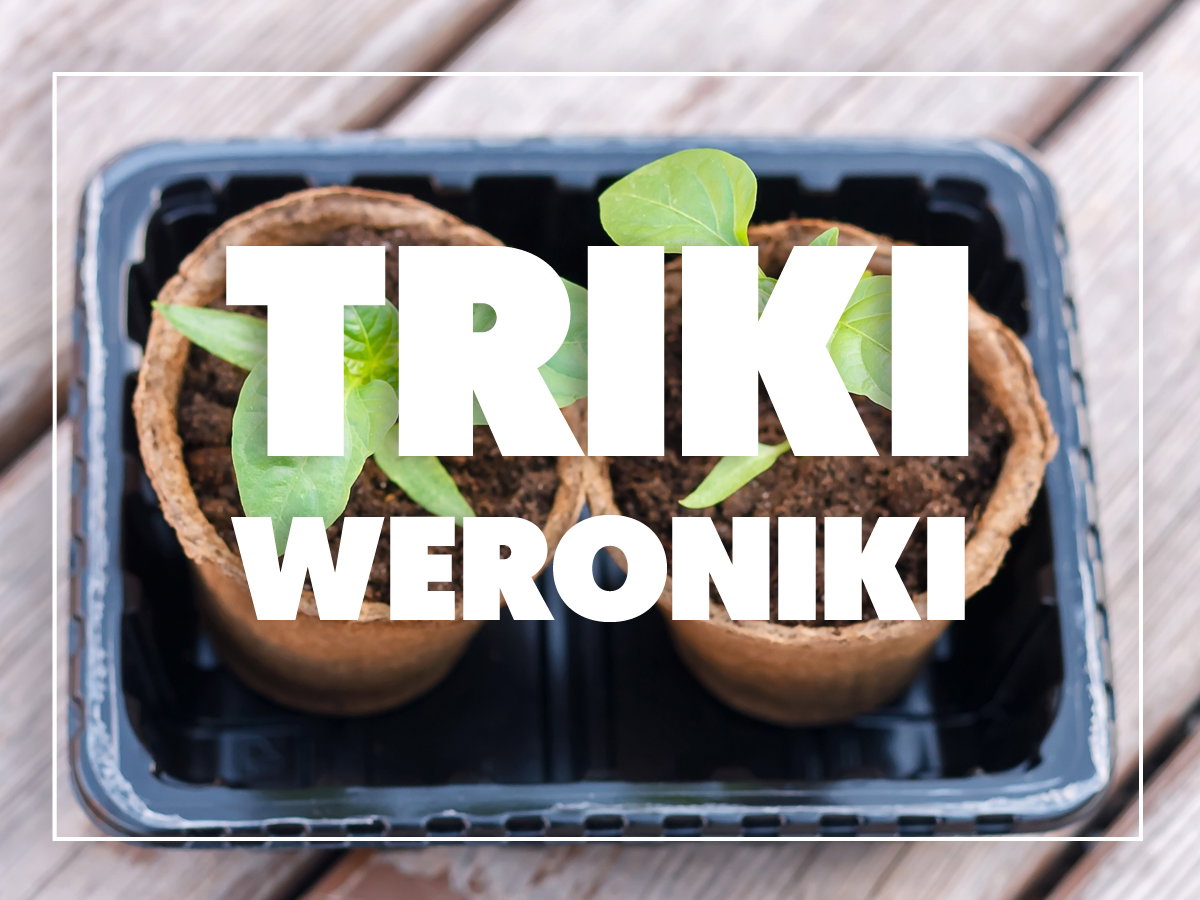 nawożenie roślin