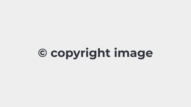Copyright Image