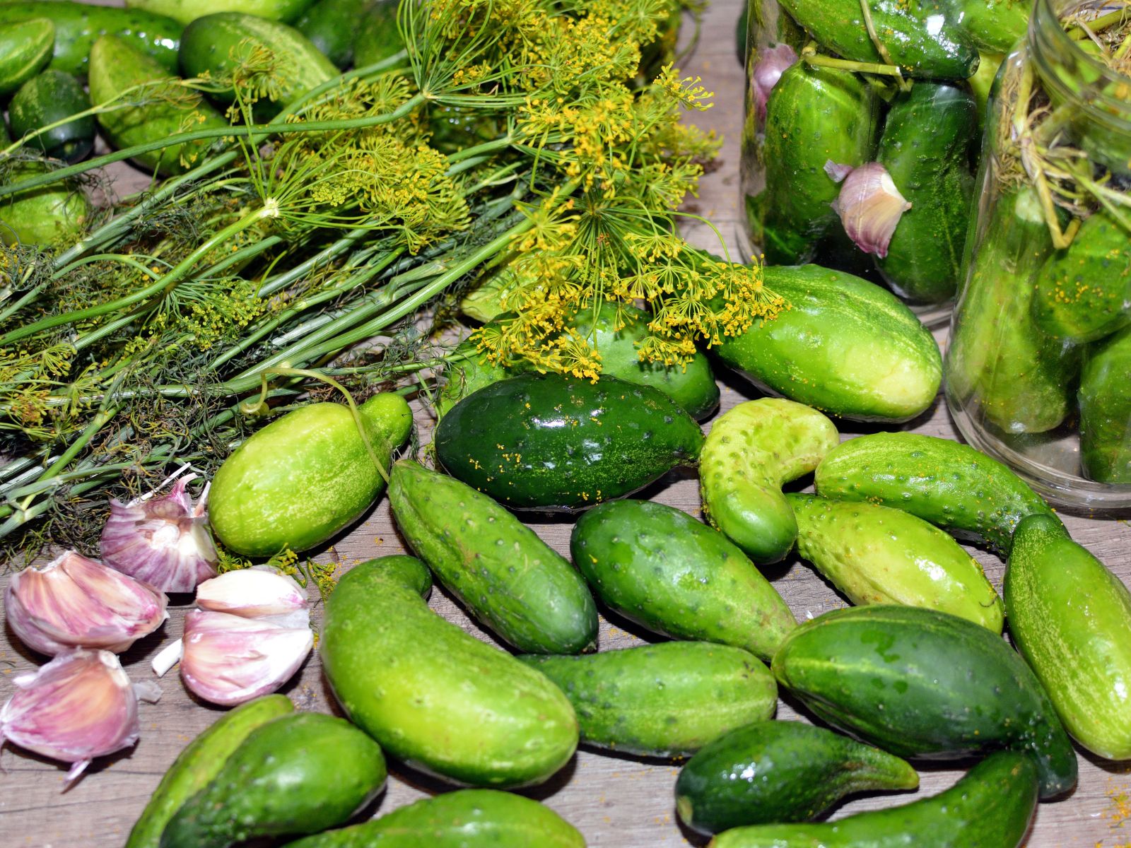 Ogórki gruntowe
