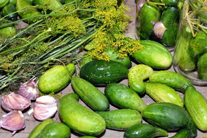 Ogórki gruntowe
