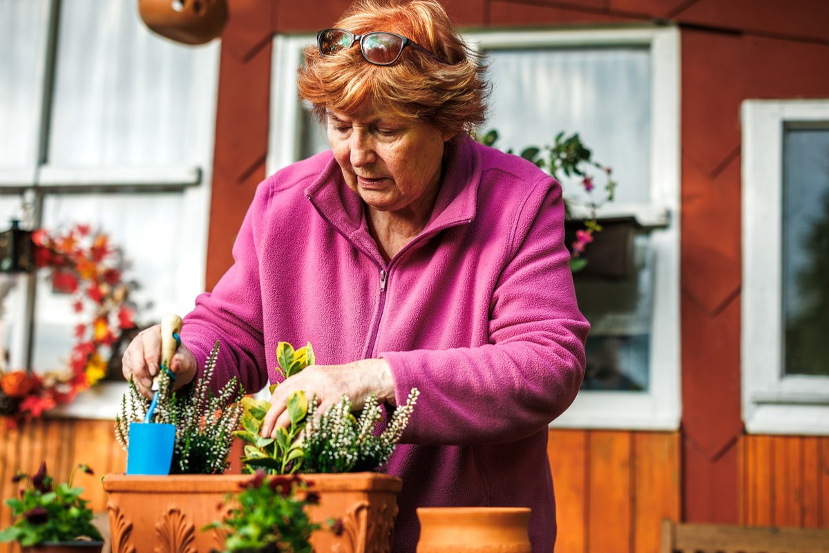 seniorka w ogrodzie