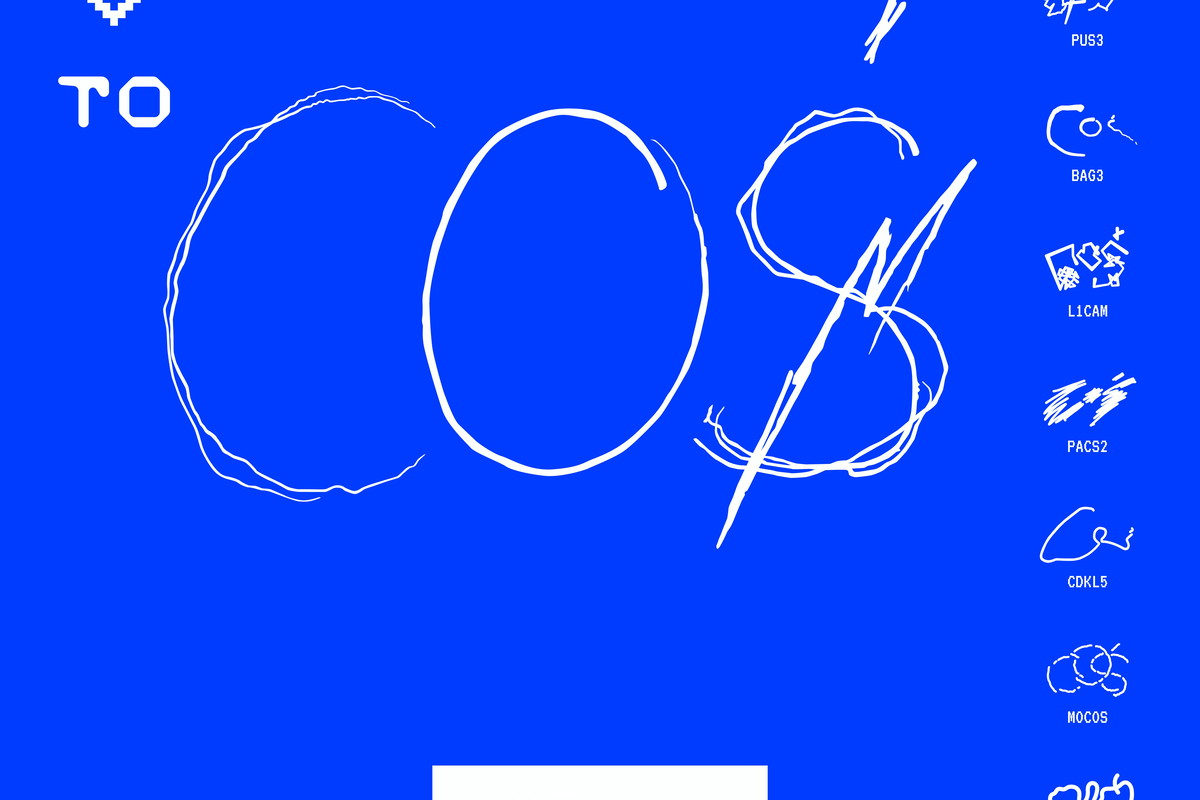 To Coś