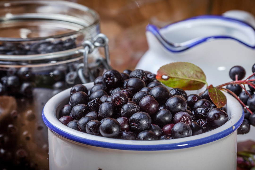 aronia do słoików