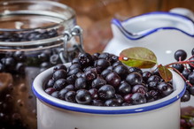 aronia do słoików