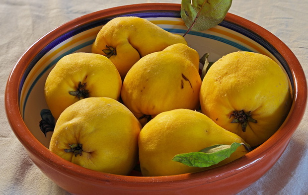 pigwa