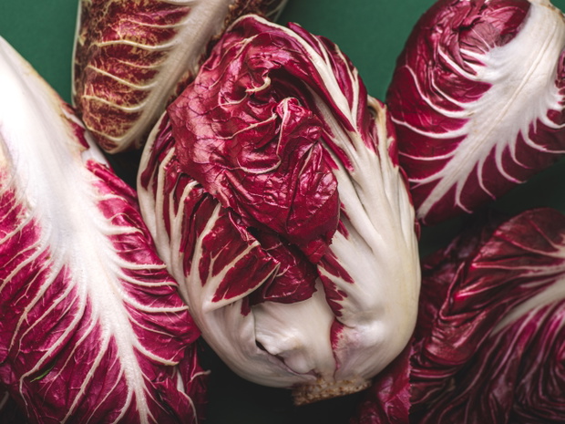 radicchio surowe