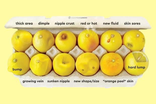 Kampania Know Your Lemons