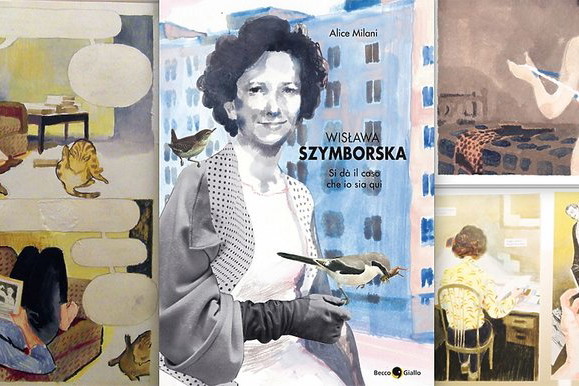 Wisława sklejka
