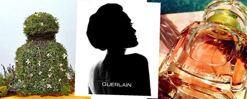 Angelina Jolie, Guerlain