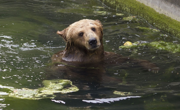 Mieszka?cy Warszawskiego Zoo