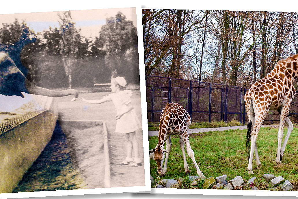 Warszawskie ZOO