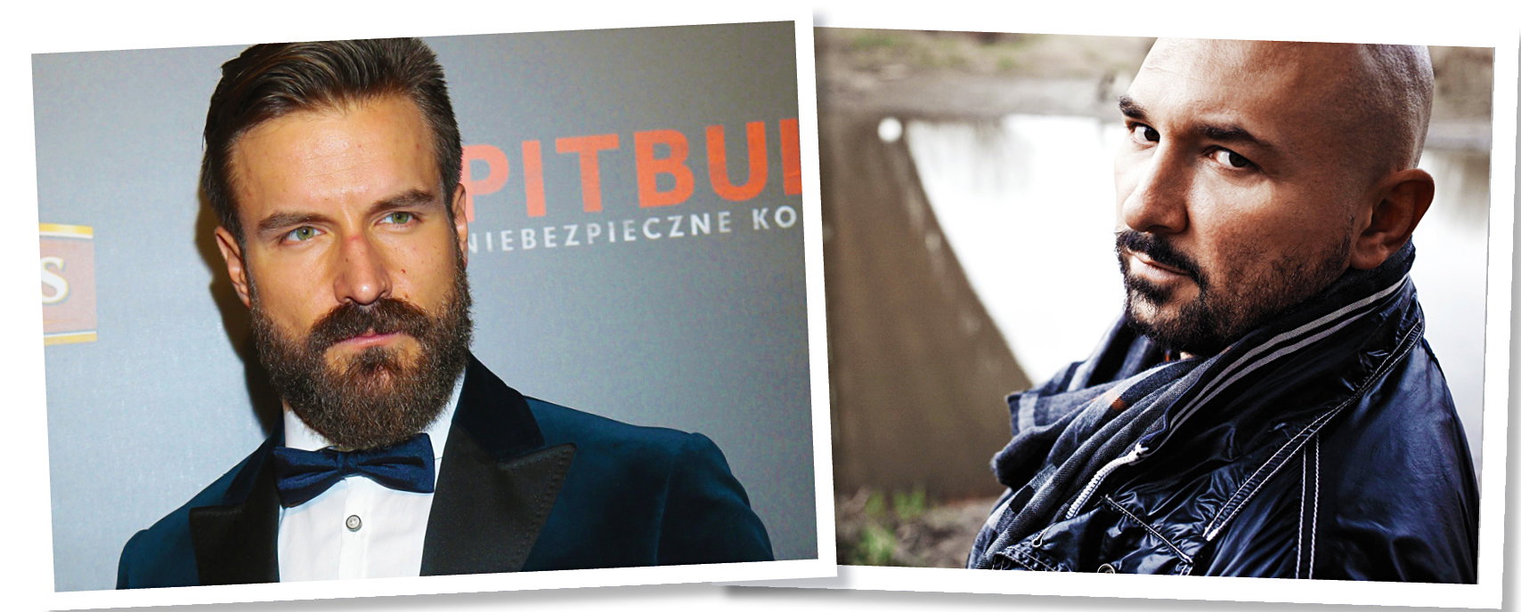 pitbull