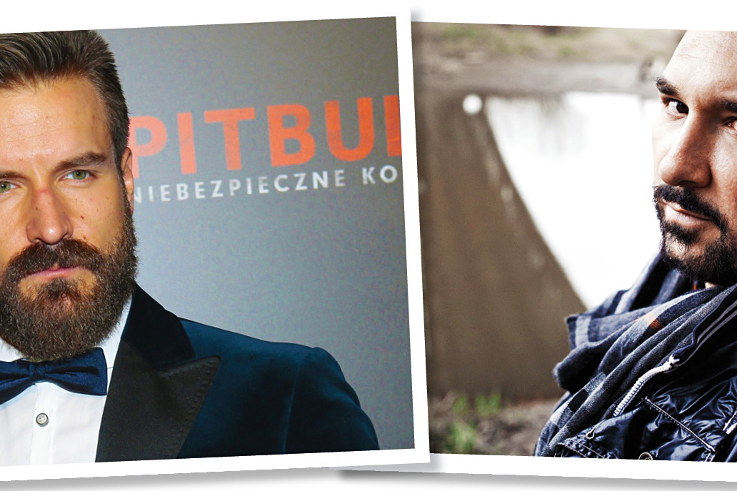pitbull