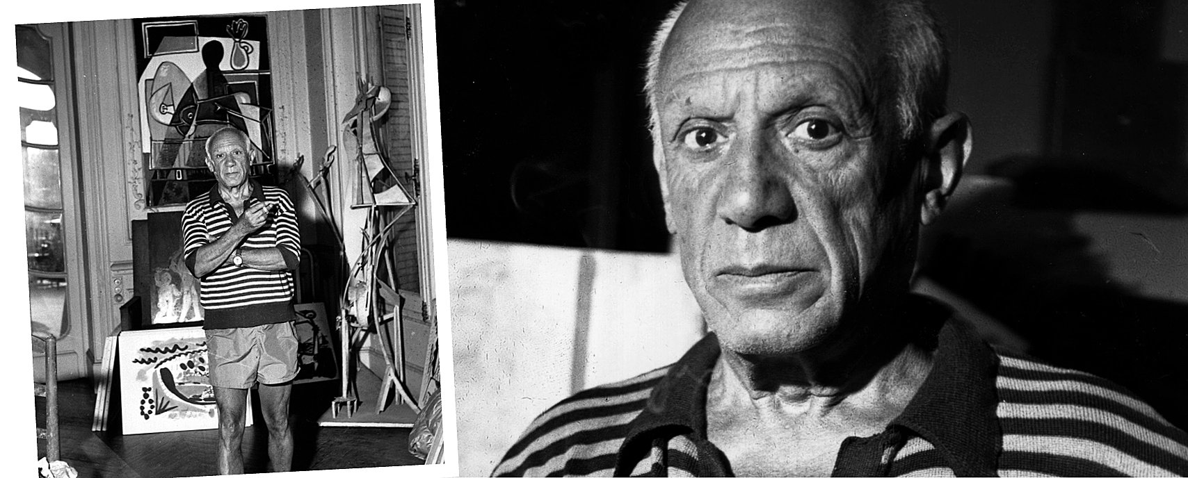 Picasso jamnik