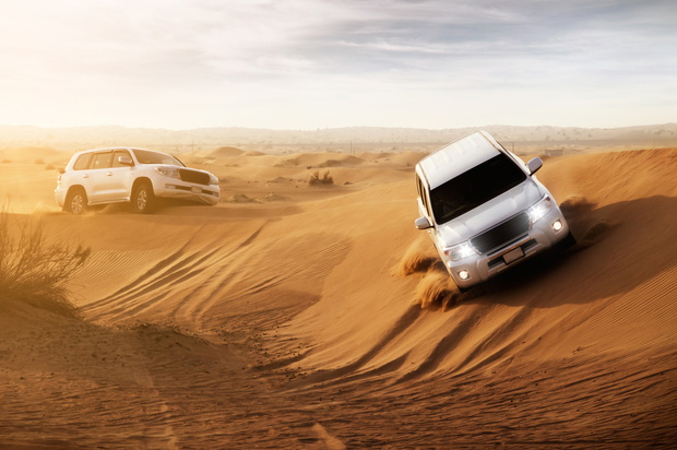 Desert Safari