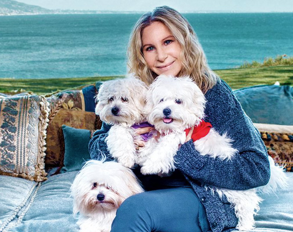 Barbra Streisand sklonowała dwukrotnie nieżyjącą suczkę Samanthę
