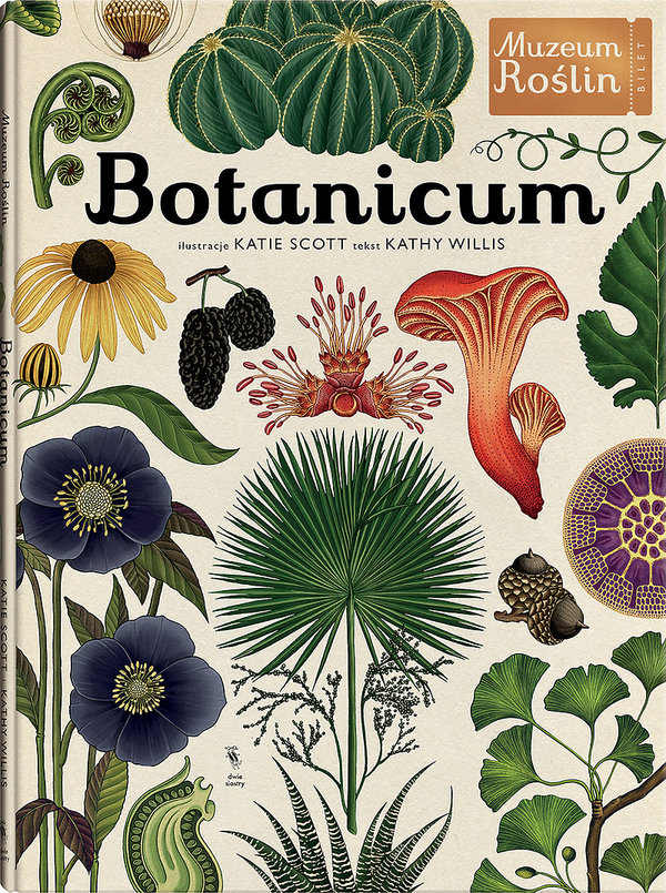 pieknie-ilustrowana-ksiazka-botanicum-muzeum-roslin-wydawnictwo-dwie-siostry-394673-GALLERY600-eb57918