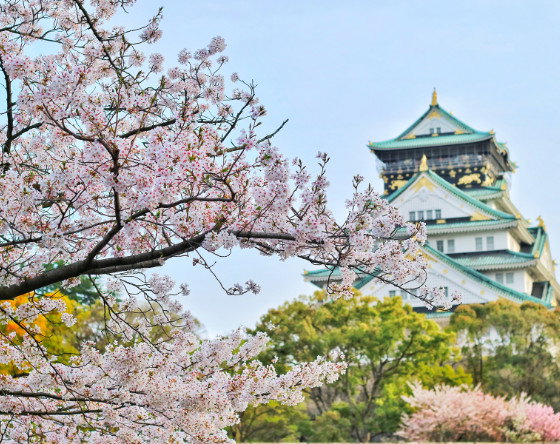 Japonia