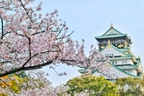 Japonia