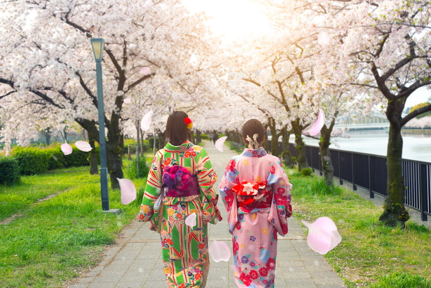 Couple asian women wearing traditional japanese kimono in sakura garden in Osaka, Japan.