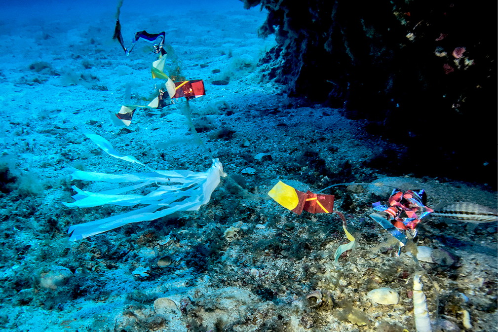 śmieci, ocean, woda, zanieczyszczenie środowiska