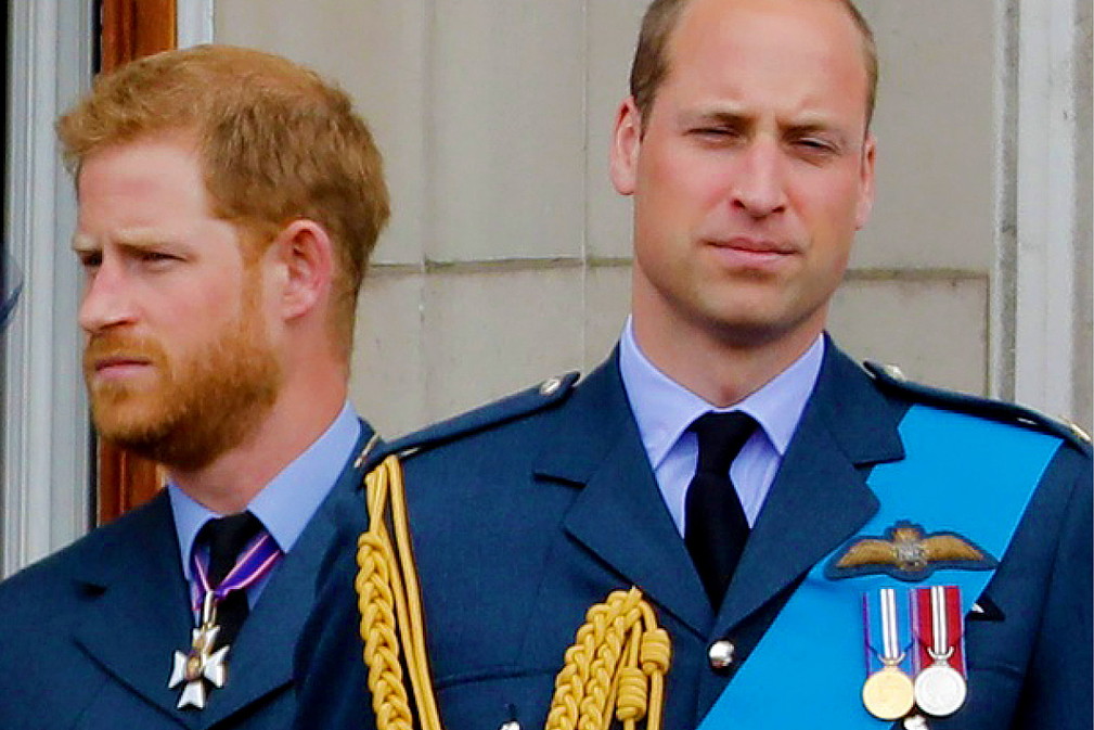 Książę Harry, książę William