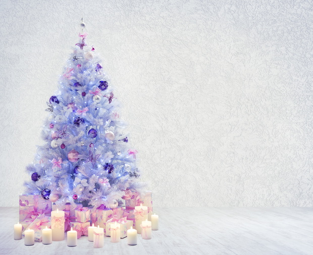 Christmas Tree in Interior Room, Xmas Tree on White Wood Floor a