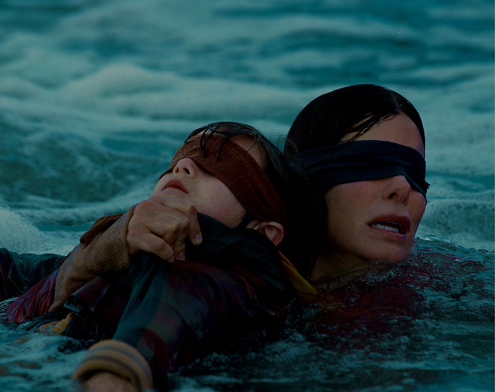 bird box2
