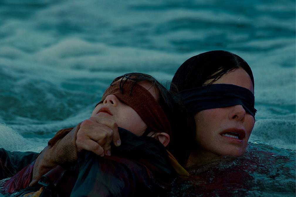 bird box2