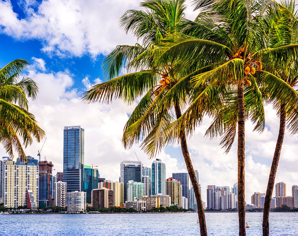 miami2