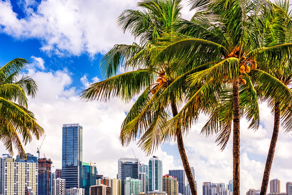 miami2