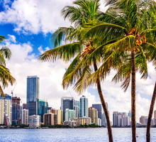 miami2