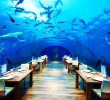 restauracja2