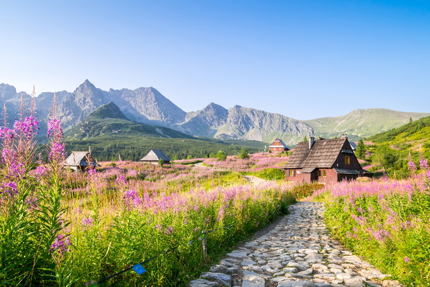 Wooden huts scattered on flowery meadow
