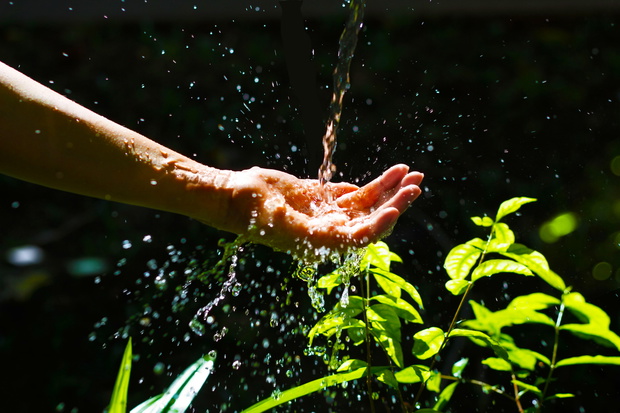 Water pouring in woman hand on nature background, environment is