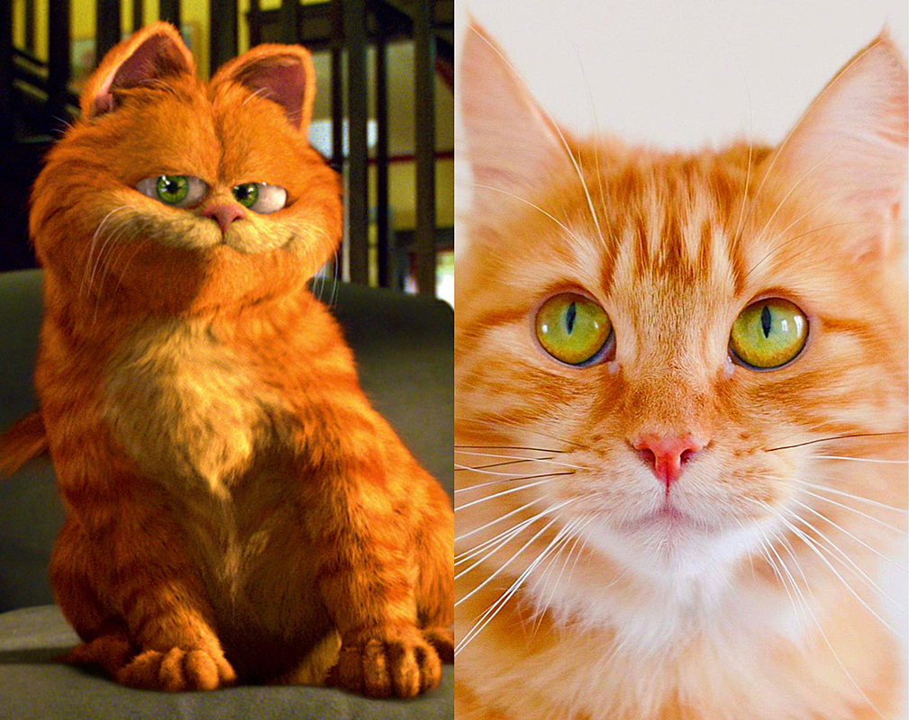 garfield2
