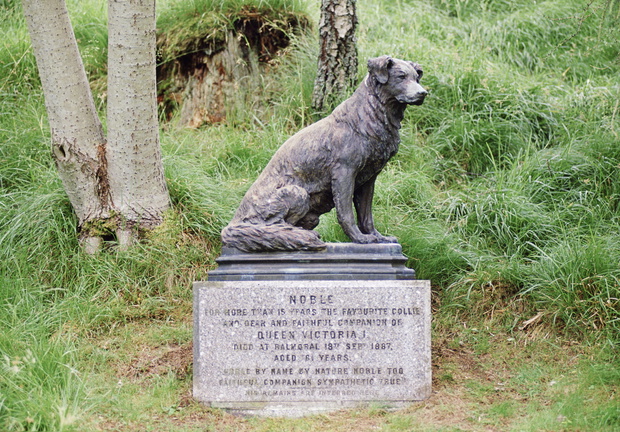 Statue Of Queen Victoria's Dog