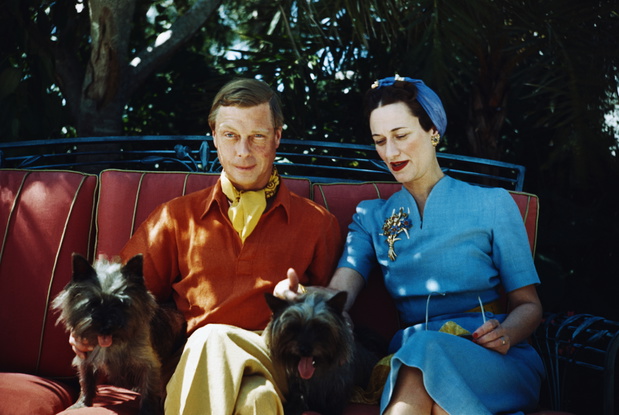 Duke and Duchess of Windsor with Dogs